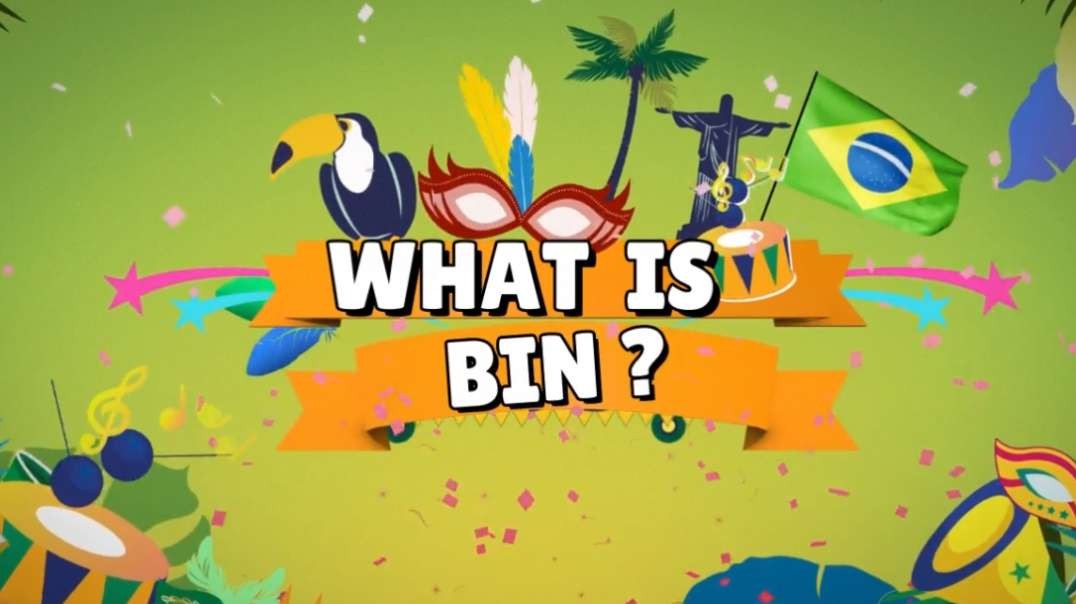 ⁣What is BIN [EXPLANATION]