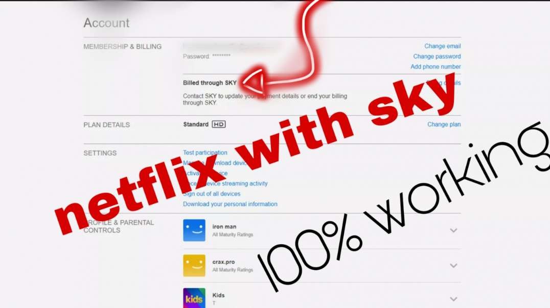⁣Method How to Make Netflix Premium with SKY