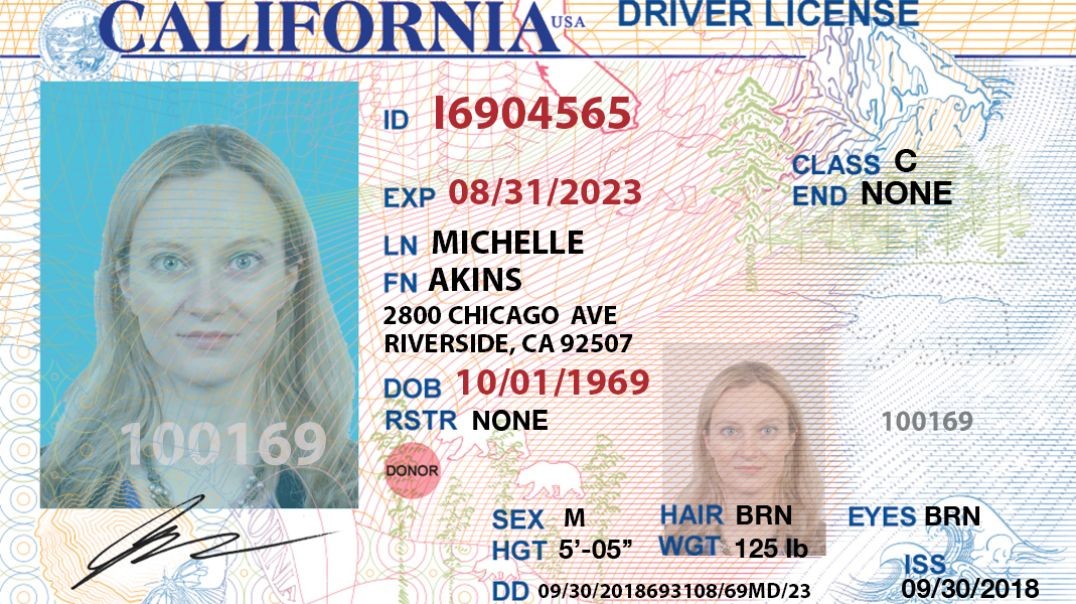 ⁣California Driver License psd template