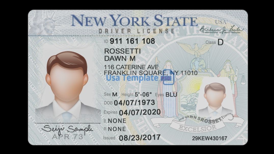 ⁣USA New York Driver License psd template
