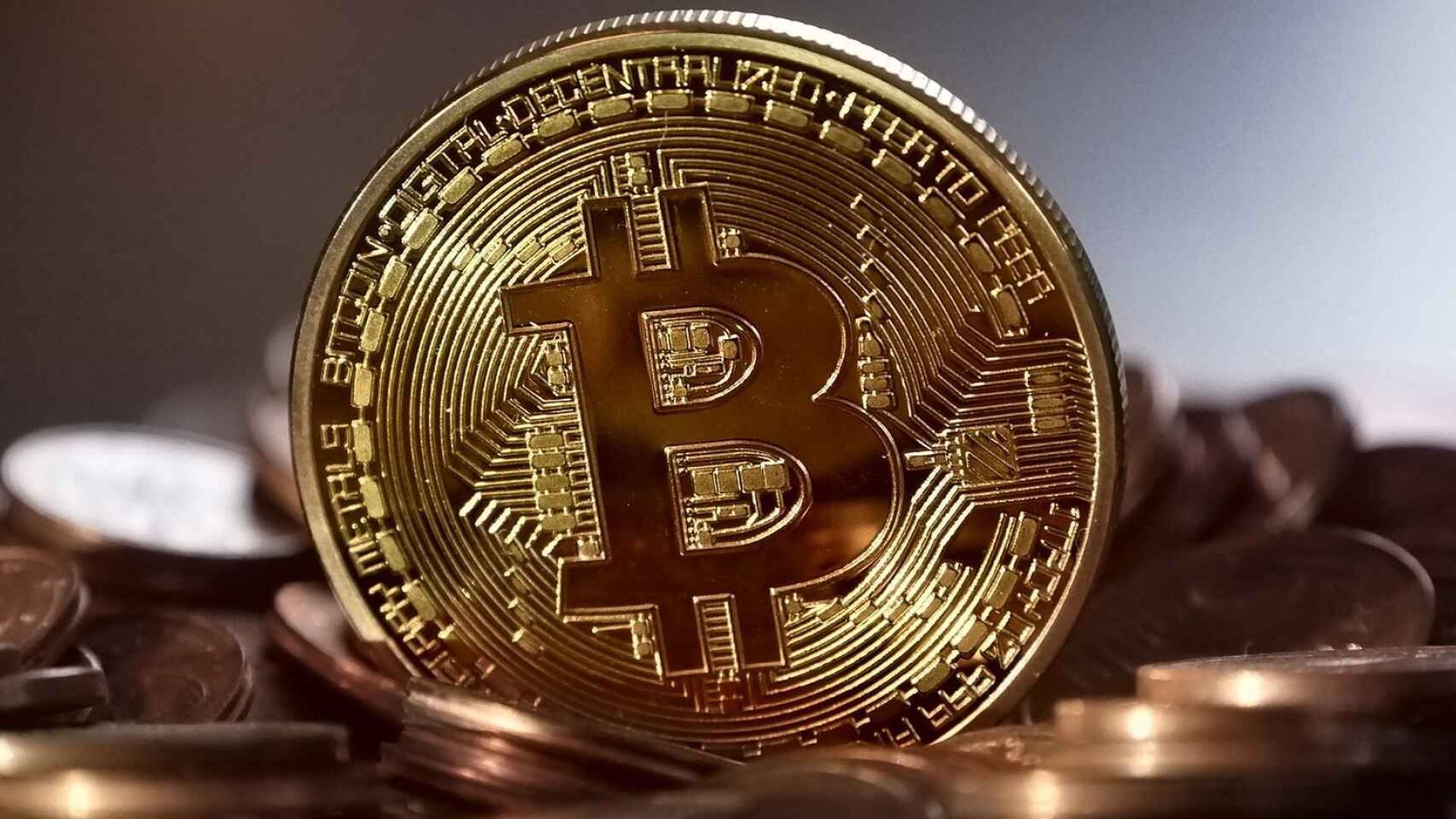 Bitcoin blast checker by PJ