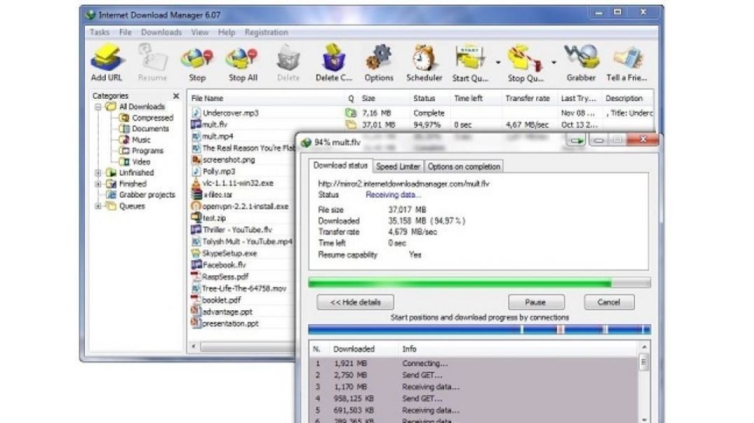 ⁣⁣Internet Download Manager 6.38 Build 1 Portable