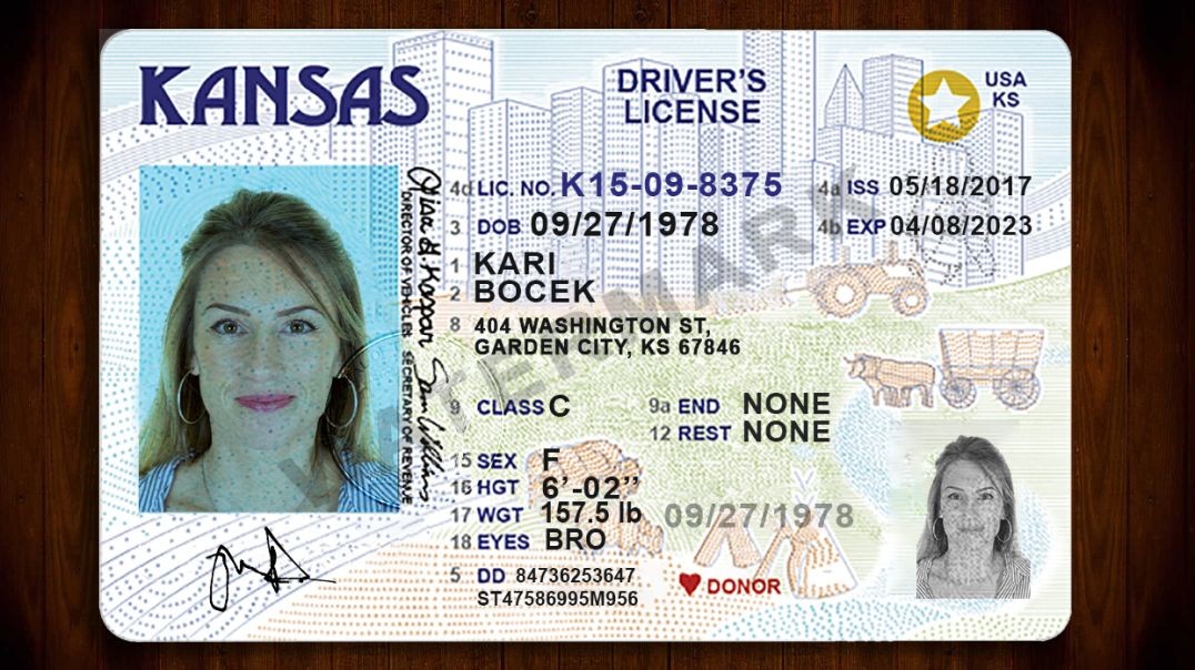 Latest Driving License PSD Templates for Online Verifications | High Quality Fully Editable