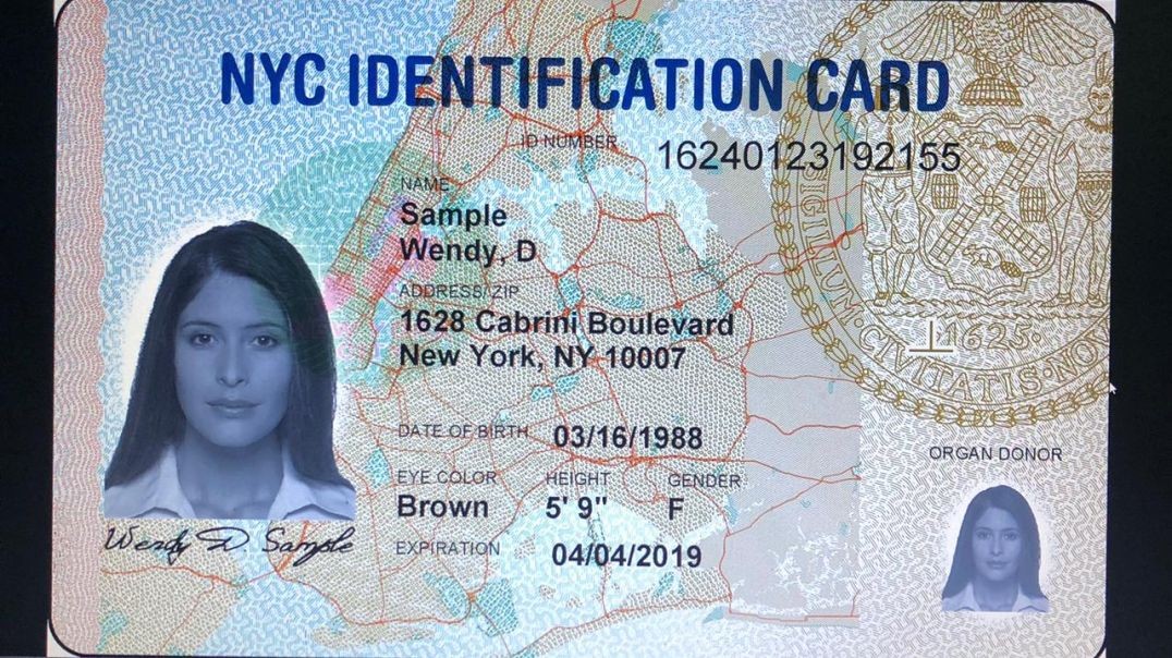Latest Fake New York ID Card PSD Template | High Quality Fully Editable | Fake Documents for Online 