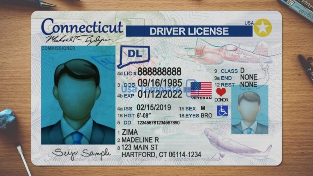 Buy Latest Connecticut Driving License PSD Template | Edit in Photoshop