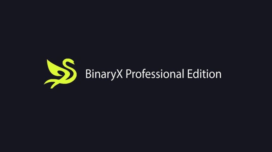 BinaryX Crypter Professional Edition Fud Crypter