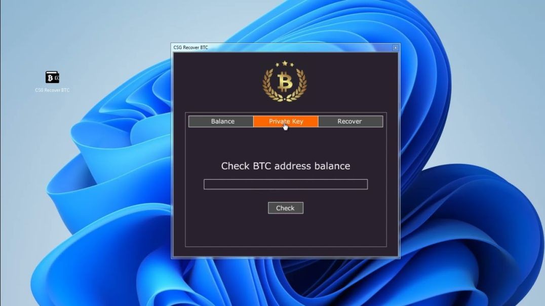 ⁣CSG Recover BTC - Bitcoin wallet recovery tool